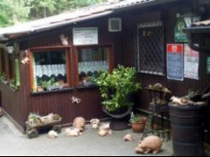 照片: Waldcafe 